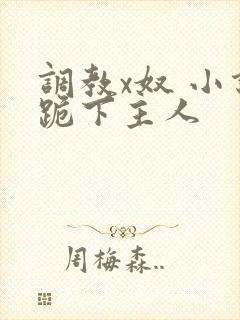 调教x奴 小说跪下主人
