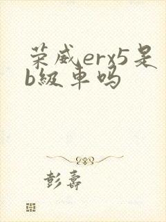 荣威erx5是b级车吗