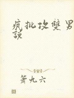疯批攻双男主小说