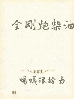 金刚炮柴油两驱 金刚炮柴油两驱