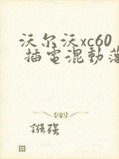 沃尔沃xc60 插电混动落地