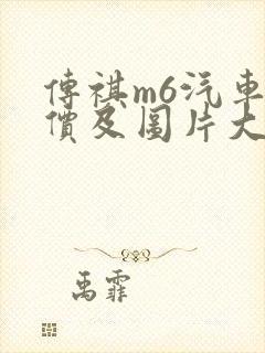 传祺m6汽车报价及图片大全