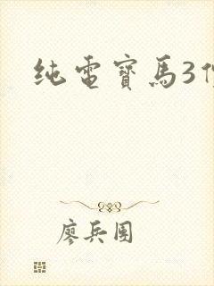 纯电宝马3价格