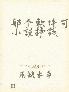 那个软件可以写小说挣钱