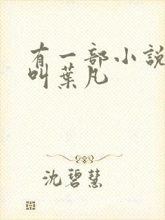 有一部小说主角叫叶凡