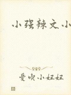 小强辣文小说网
