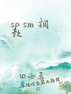 sp sm 调教