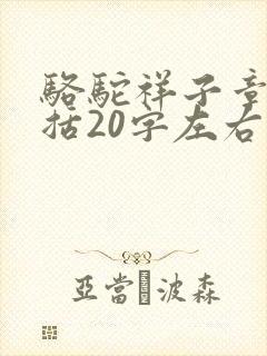 骆驼祥子章节概括20字左右