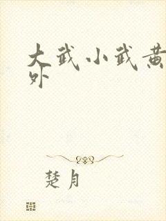 大武小武黄蓉番外