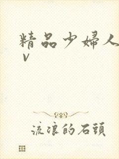 精品少妇人妻a v