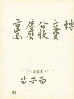 重庆公交转轻轨怎么收费
