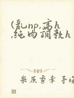 (乱np,高h,纯肉调教h