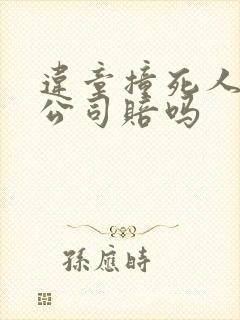 违章撞死人保险公司赔吗