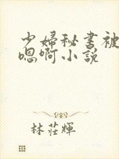 少妇秘书被狂啪嗯啊小说