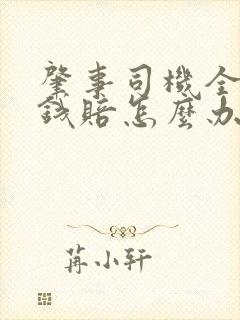 肇事司机全责没钱赔怎么办