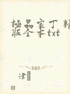 极品家丁 精校版全本txt