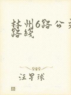 林州6路公交车路线