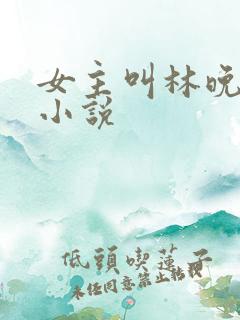 女主叫林晚晚的小说