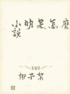 小明是怎么的小说