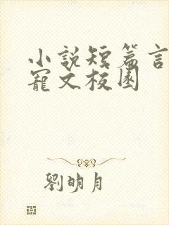 小说短篇言情甜宠文校园