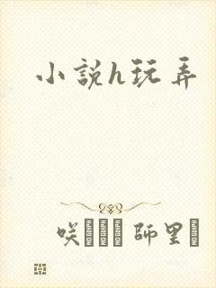 小说h玩弄