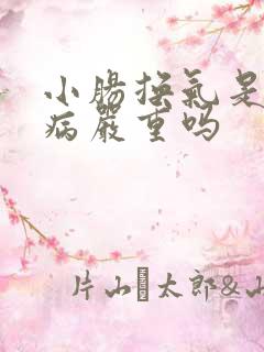 小肠换气是什么病严重吗