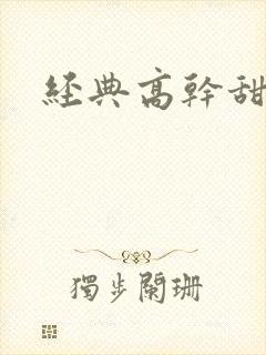 经典高干甜宠文