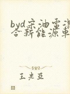 byd宋油电混合新能源车 byd宋油电混合新能源车