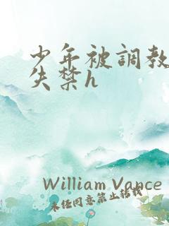 少年被调教爽到失禁h