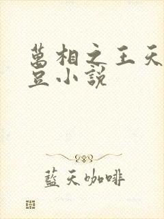万相之王天蚕土豆小说