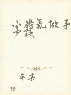 小肠气做手术多少钱
