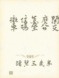 微信怎么开通乘车码坐公交卡
