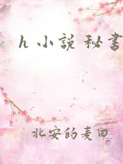 h 小说 秘书