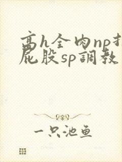 高h全肉np打屁股sp调教