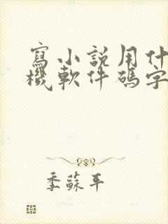 写小说用什么手机软件码字
