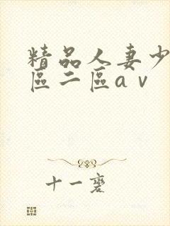 精品人妻少妇一区二区aⅴ