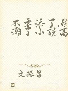 不要添了,我高潮了小说高黄
