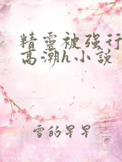精灵被强行糟蹋高潮h小说
