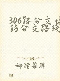 306路公交站的公交路线