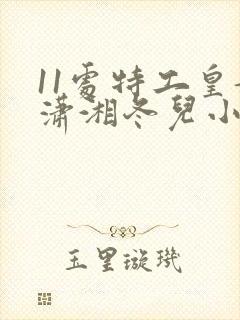 11处特工皇妃潇湘冬儿小说