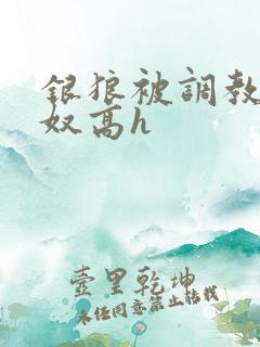银狼被调教成肉奴高h