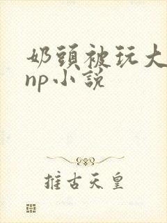奶头被玩大激情np小说