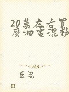 20万左右买什么油电混动车好
