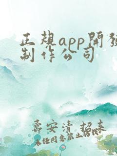 正规app开发制作公司