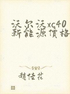 沃尔沃xc40新能源价格多少钱