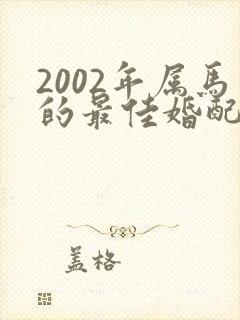2002年属马的最佳婚配男