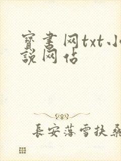 宝书网txt小说网站