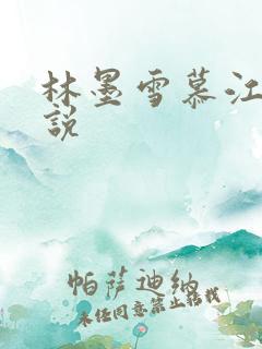 林墨雪慕江行小说