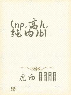 (np,高h,纯肉)bl