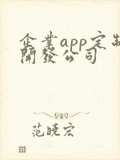 企业app定制开发公司